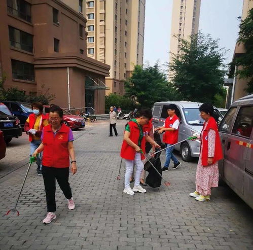 濮阳市志愿服务网