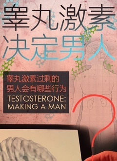 日本男优世界第一大睾丸